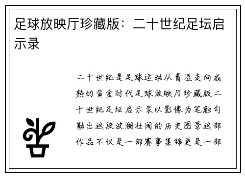 足球放映厅珍藏版：二十世纪足坛启示录