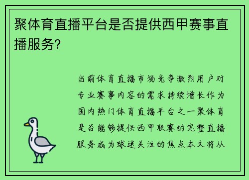 聚体育直播平台是否提供西甲赛事直播服务？
